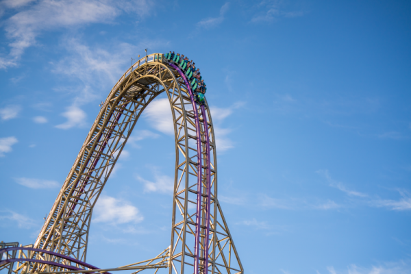 Conheça o Busch Gardens Tampa Bay!