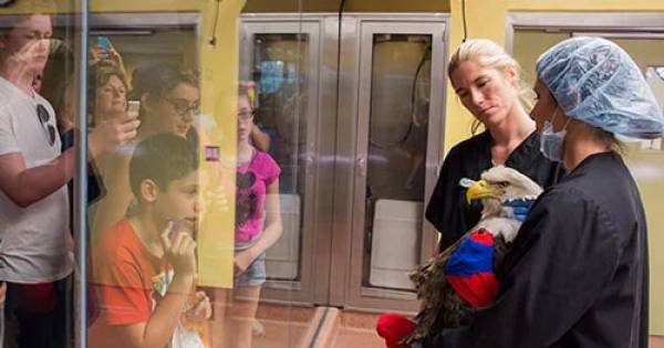 Animal Care Center Behind The Scenes